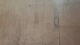 hottie_mommax's Picture