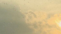 xxcccs's Picture