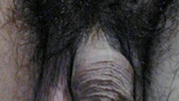 garinasi1919's Picture