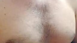 Gato Sarado 25's Picture