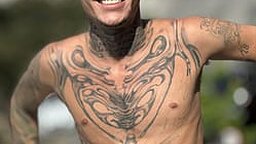 Ktal's Picture